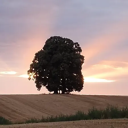 Lejlighed Energiehof Liebon